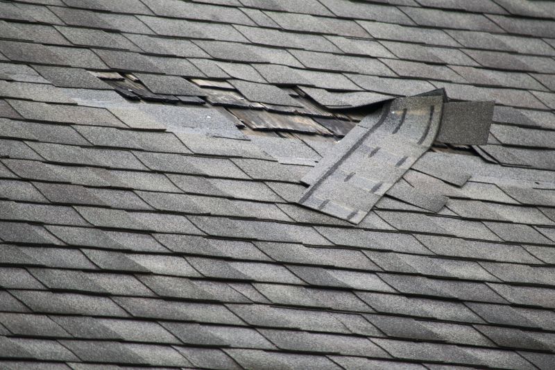 Asphalt Roof Leak Repair in Almont, MI