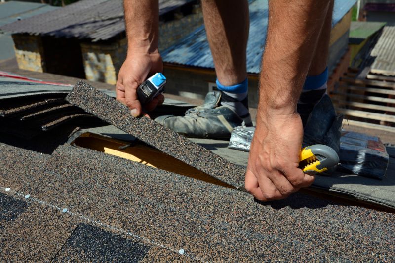 Asphalt Roof Leak Repair in Macomb County, MI
