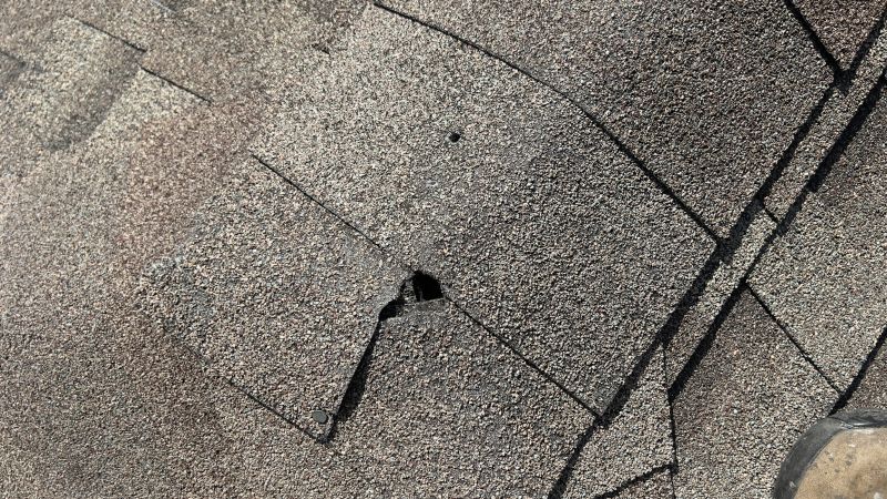 Damaged Roof Repair in Casco, MI