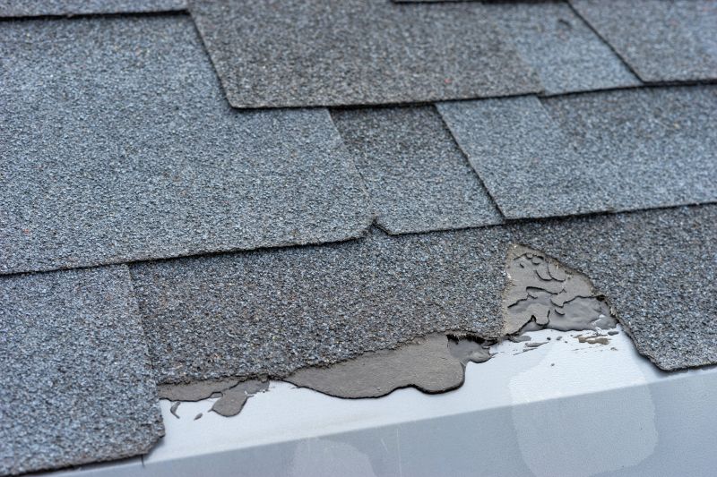 Damaged Roof Repair in Casco, MI