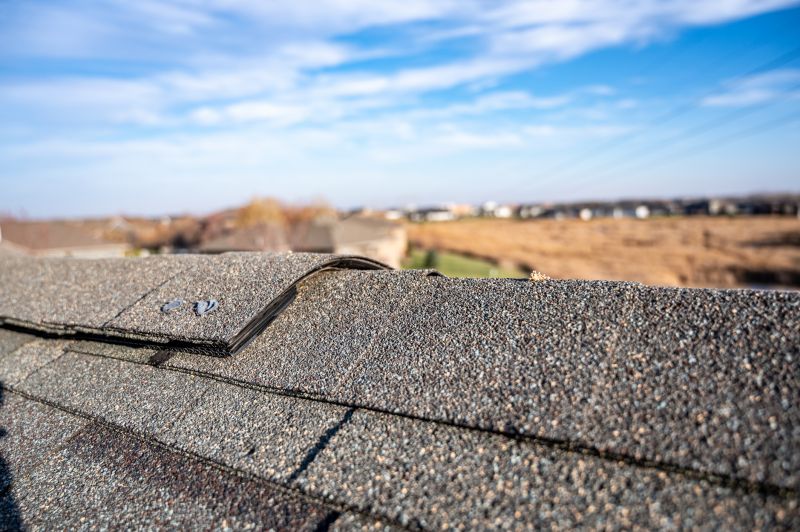Damaged Roof Repair in Hazel Park, MI