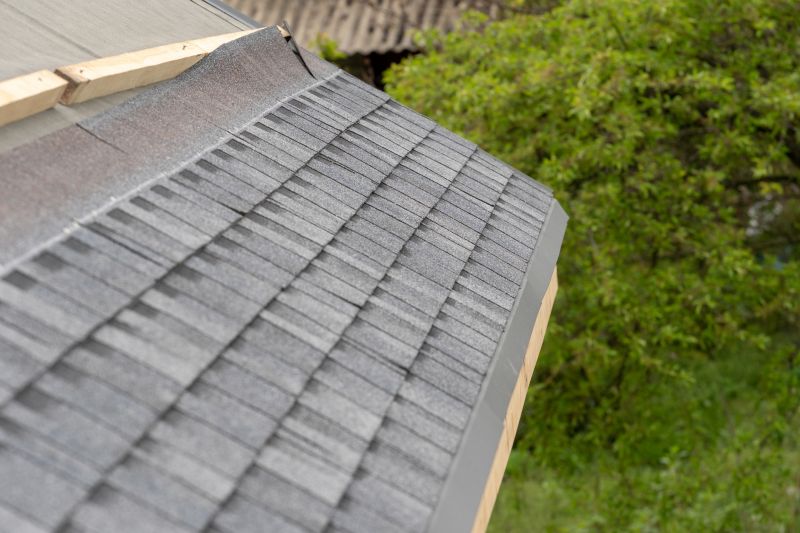 Damaged Roof Repair in Lincoln Park, MI