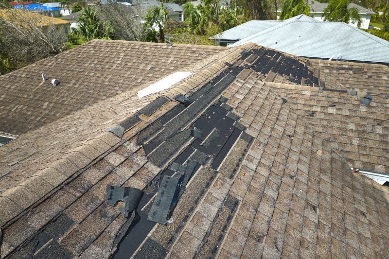 Damaged Roof Replacement in Berkley, MI