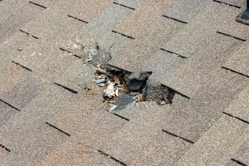 Damaged Roof Replacement in Casco, MI