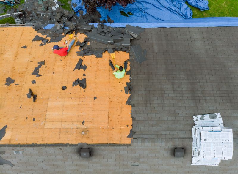 Damaged Roof Replacement in Sterling Heights, MI
