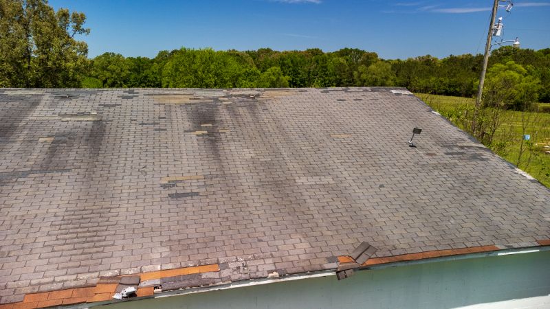 Hail Damage Roof Repair in Huntington Woods, MI