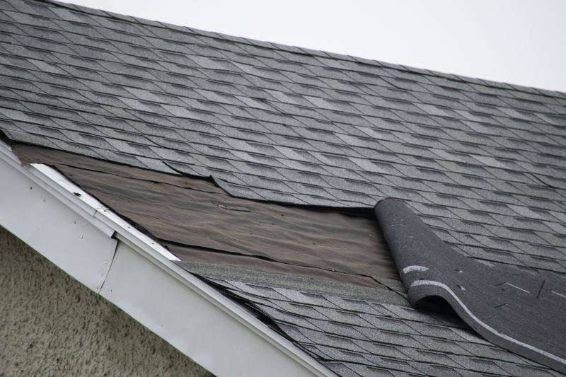 House Roof Repair in Romeo, MI
