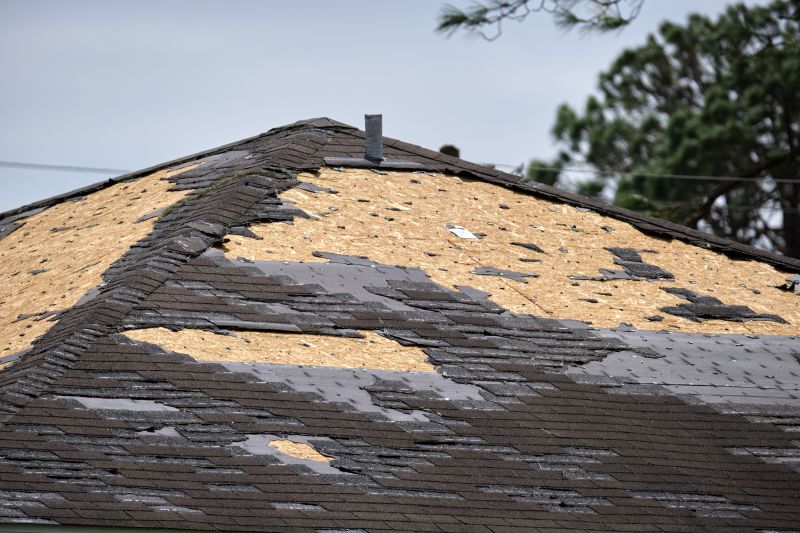 Storm Damage Roof Repair in Warren, MI